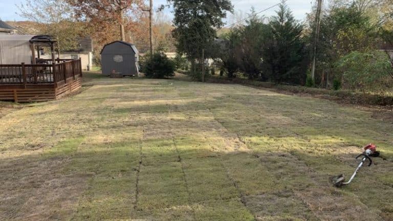 New lawn installation