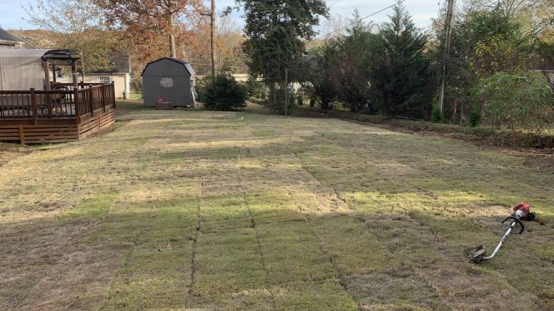 New lawn installation