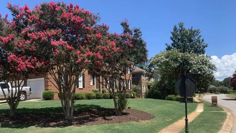 mulch installation by Perfect Image Landscaping