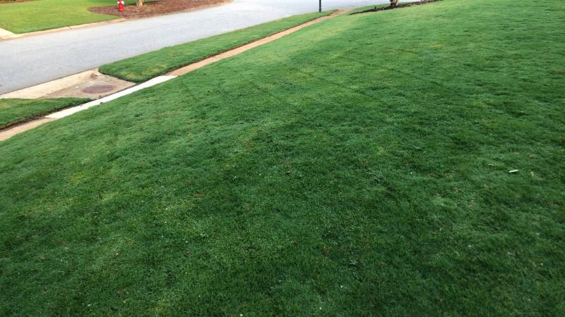 new lawn installations by Perfect Image Landscaping