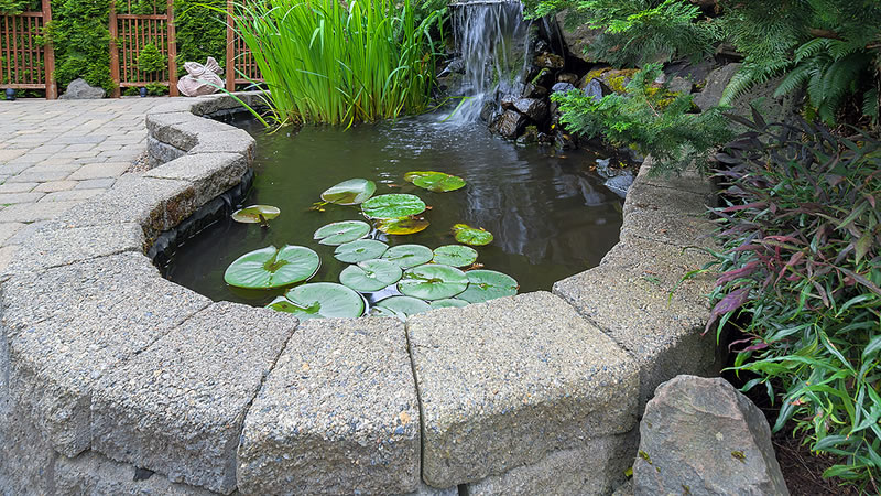 Water feature Construction