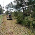 brush clearing services