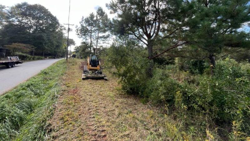 brush clearing services